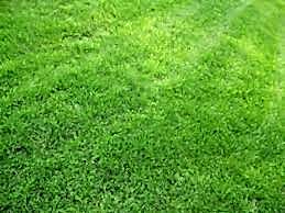 Стандартный